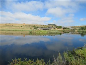Game Farm in Vrede