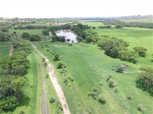840 ha Farm in Estcourt