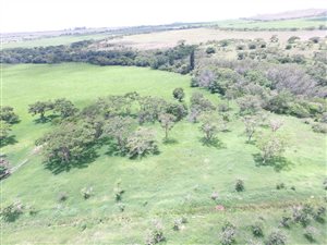 840 ha Farm in Estcourt