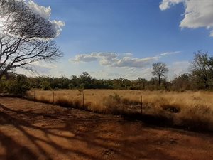 22.6 ha Farm in Phalaborwa