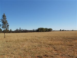 9.6 ha Land available in Bainsvlei
