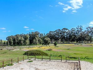 Farms For Sale In Melkbosstrand Private Property