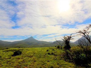 325 ha Farm in Herbertsdale