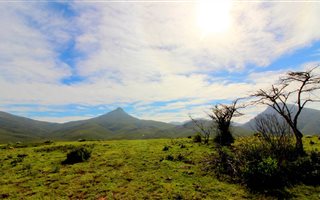 325 ha Farm in Herbertsdale