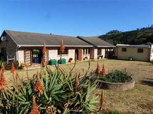 12.7 ha Farm in Howick
