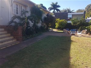 5 Bed House in Arcadia