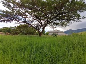1482 m² Land available in Louis Trichardt