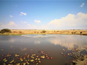 269.9 ha Farm in Modimole (Nylstroom)