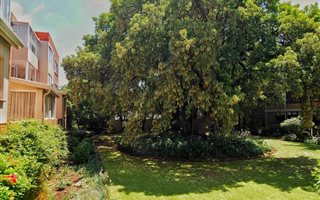2 Bedroom Apartment in Illovo