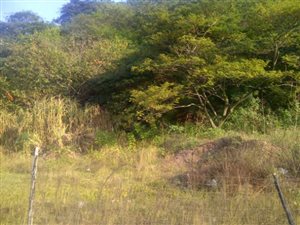 1047 m² Land available in Kharwastan