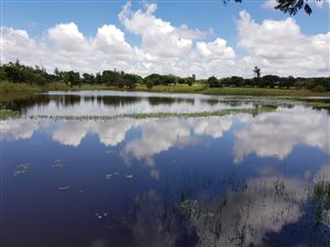 1056 ha Farm in Modimolle