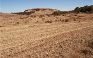 325 ha Farm in Fouriesburg