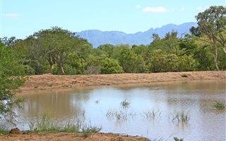 1 ha Land available in Moditlo Nature Reserve