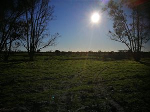 1482 ha Farm in Hopefield