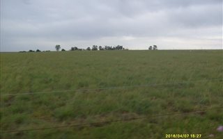 552 ha Land available in Heilbron