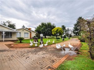 3 Bed House in Glendonald AH