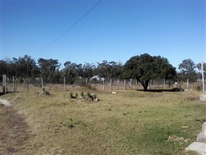 8.5 ha Land available in Greenbushes