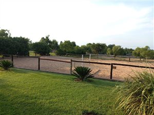 20.2 ha Farm in Marabeth