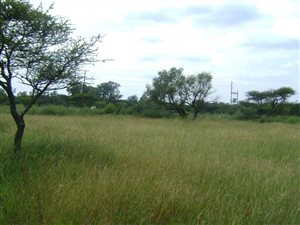 3.1 ha Farm in Kroondal