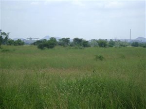3.1 ha Farm in Kroondal