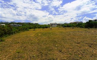 1527 m² Land available in Brackenridge