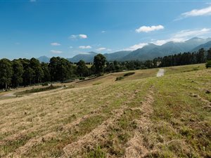 903 m² Land available in Blanco