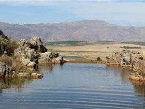 140 ha Farm in Ceres