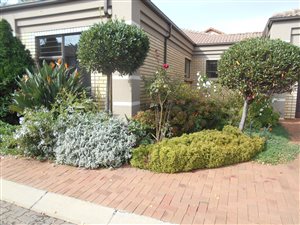 4 Bed Cluster in Impala Park