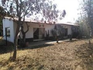 24 ha Farm in Bultfontein