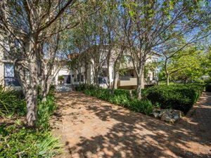Studio Apartment in Somerset West Central