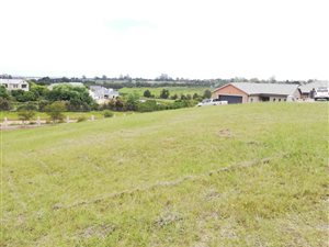 1253 m² Land available in Blanco
