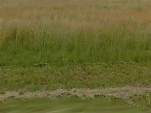 1191 m² Land available in Riversdale