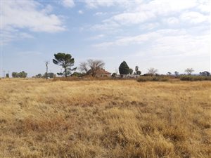 6.5 ha Smallholding in Lakeview