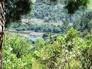 5576 m² Land available in Eastford