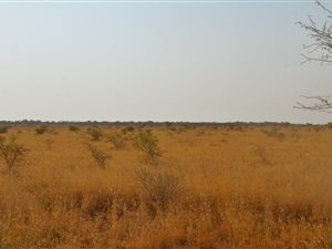 750 ha Farm in Roedtan