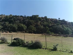 87 ha Farm in Heidelberg Central