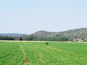 268 ha Farm in Mokopane