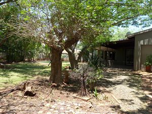 3 Bed House in Komatipoort