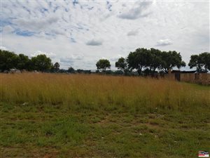 1000 m² Land available in Cultura Park
