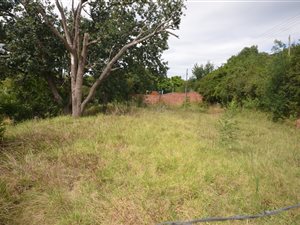 2839 m² Land available in Wittedrift