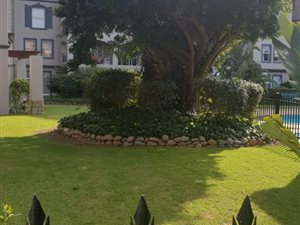 2 Bed Apartment in Diaz Beach