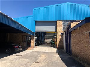 1000 m² Industrial space in Primrose