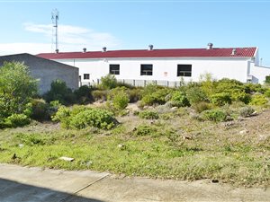 575 m² Land available in Struisbaai