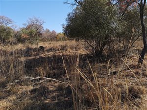 1500 m² Land available in Koro Creek Golf Estate