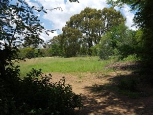 1.2 ha Land available in Beaulieu