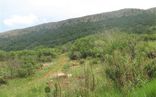 5.3 ha Land available in Kameeldrift West