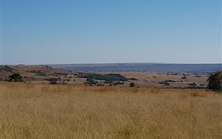 420.9 ha Farm in Middelburg