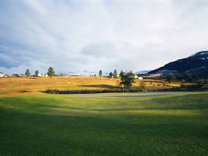 711 m² Land available in East London Central