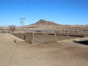 190 ha Farm in Bethlehem