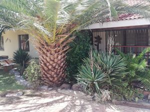 3 Bed House in Riebeeckstad